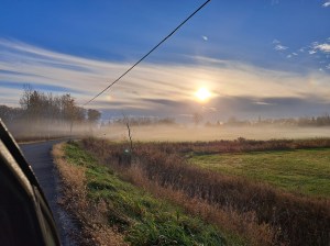 A blue sky with the sun hidden by misty clouds low in the sky.