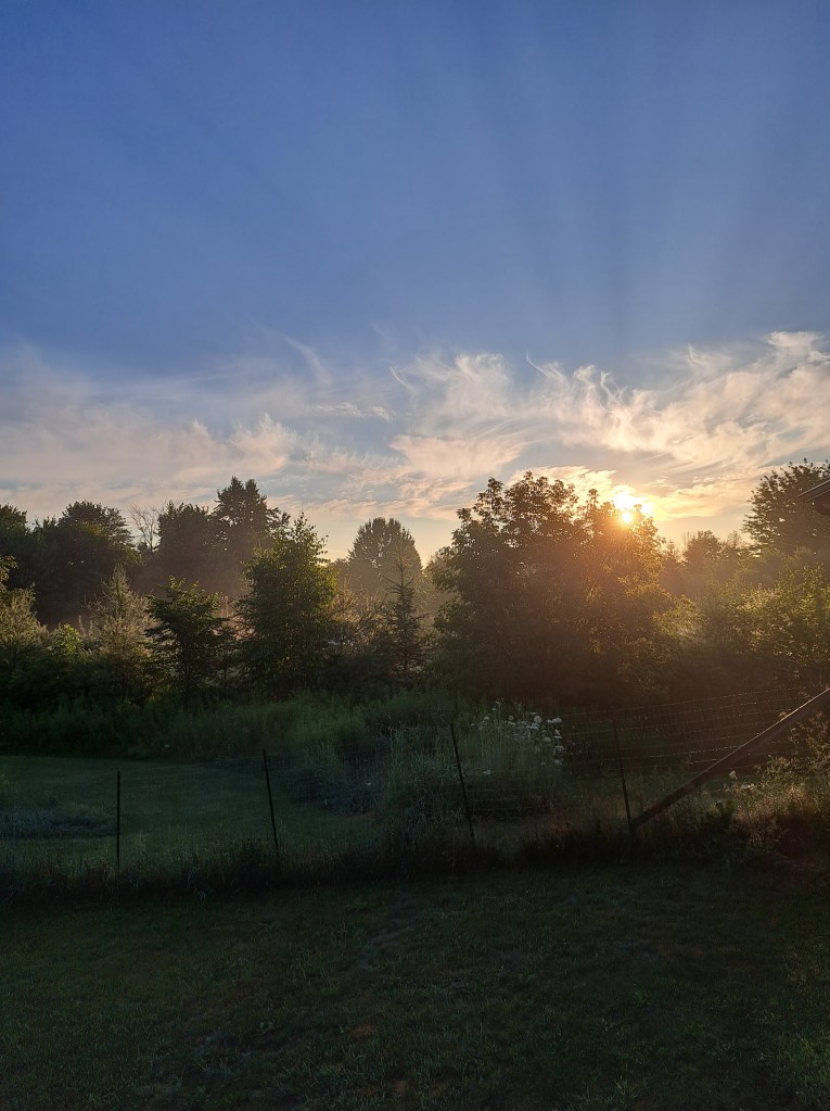 An early morning sun shining through clouds and trees
