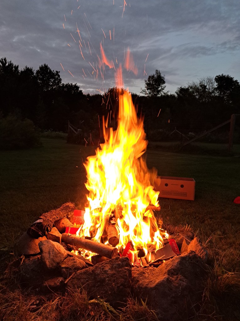 A bonfire with tall, leaping flames