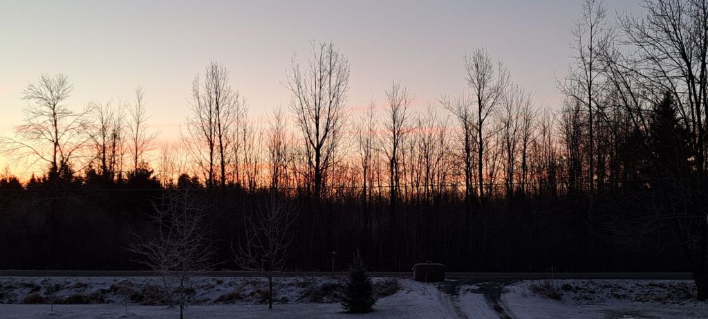 Early dawn light shining through trees on a cold winter morning. 