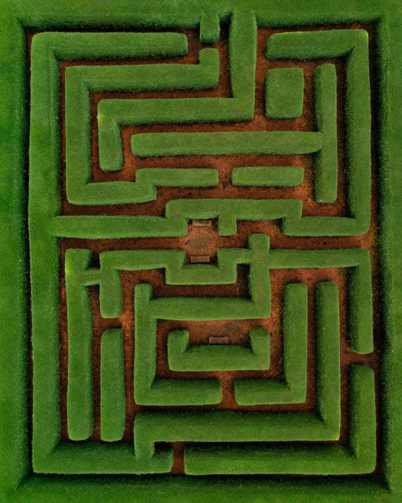 A maze with green walls