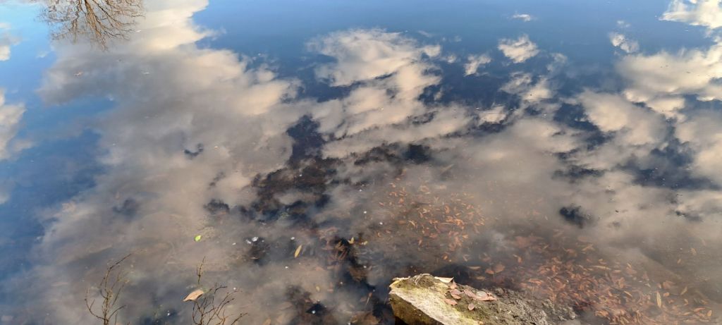 A blue sky with white clouds reflected in water