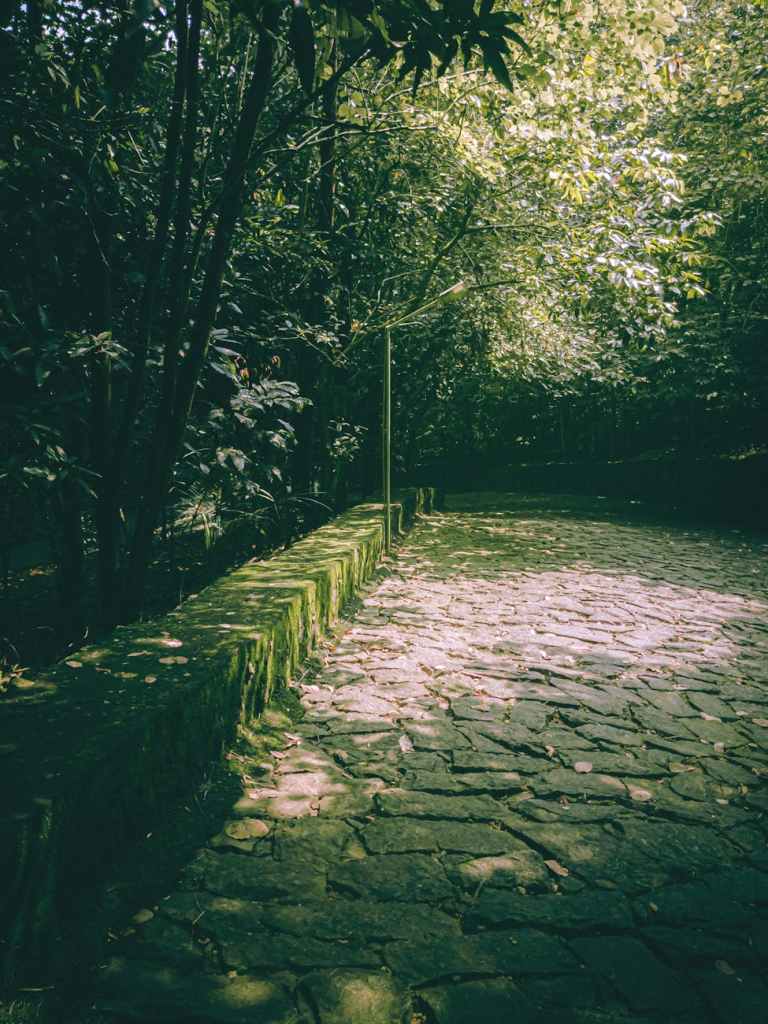 A stone terrace, with a short, moss covered rock wall along the edge of the terrace.