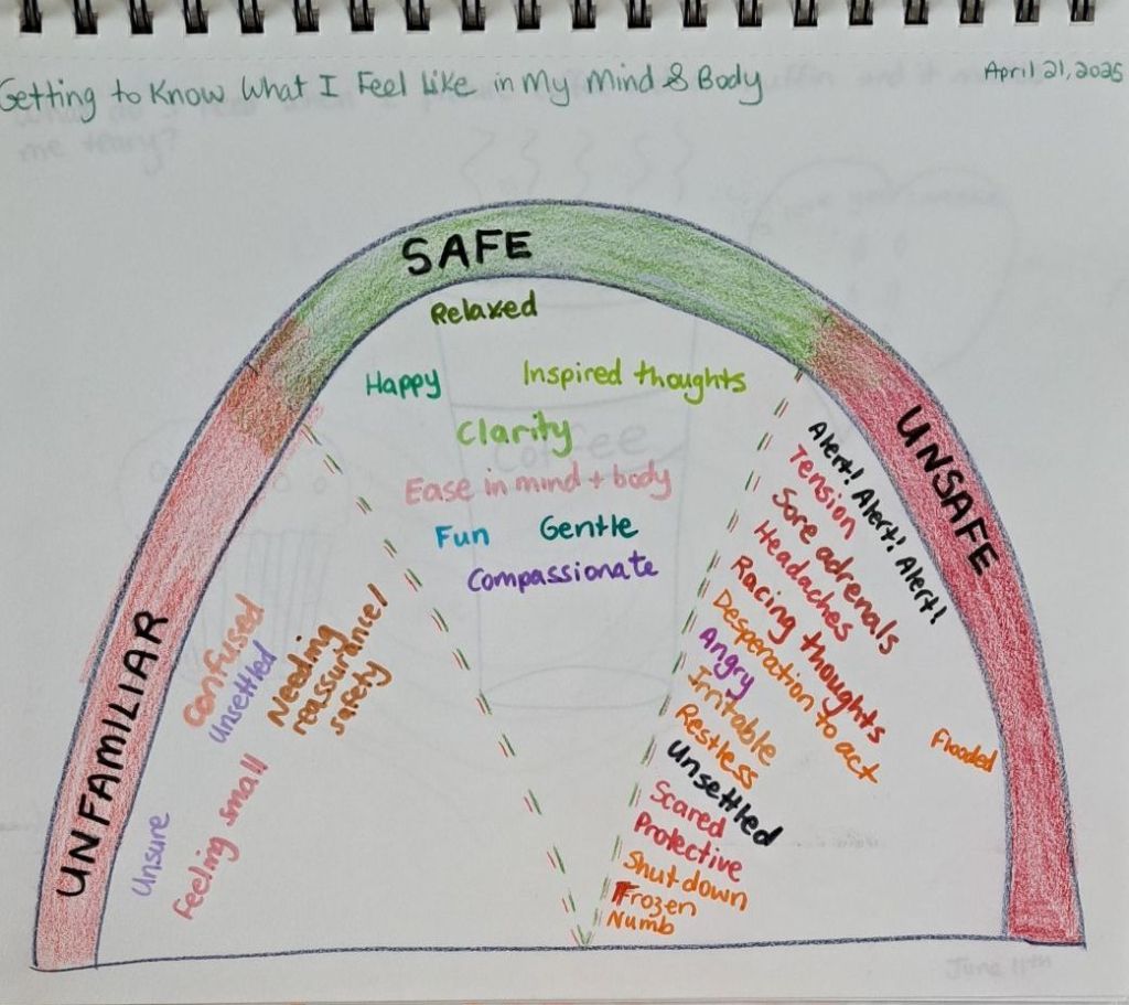 A semi circle that is split into three sections, unfamiliar, safe, and unsafe, with words to describe each feeling underneath.